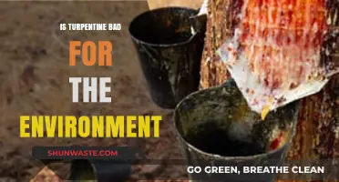 Turpentine's Environmental Impact: Harmful Effects and Eco-Friendly Alternatives