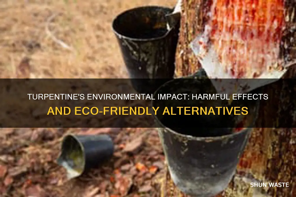 is turpentine bad for the environment