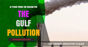 Tyson Foods: Gulf Pollution Culprit?