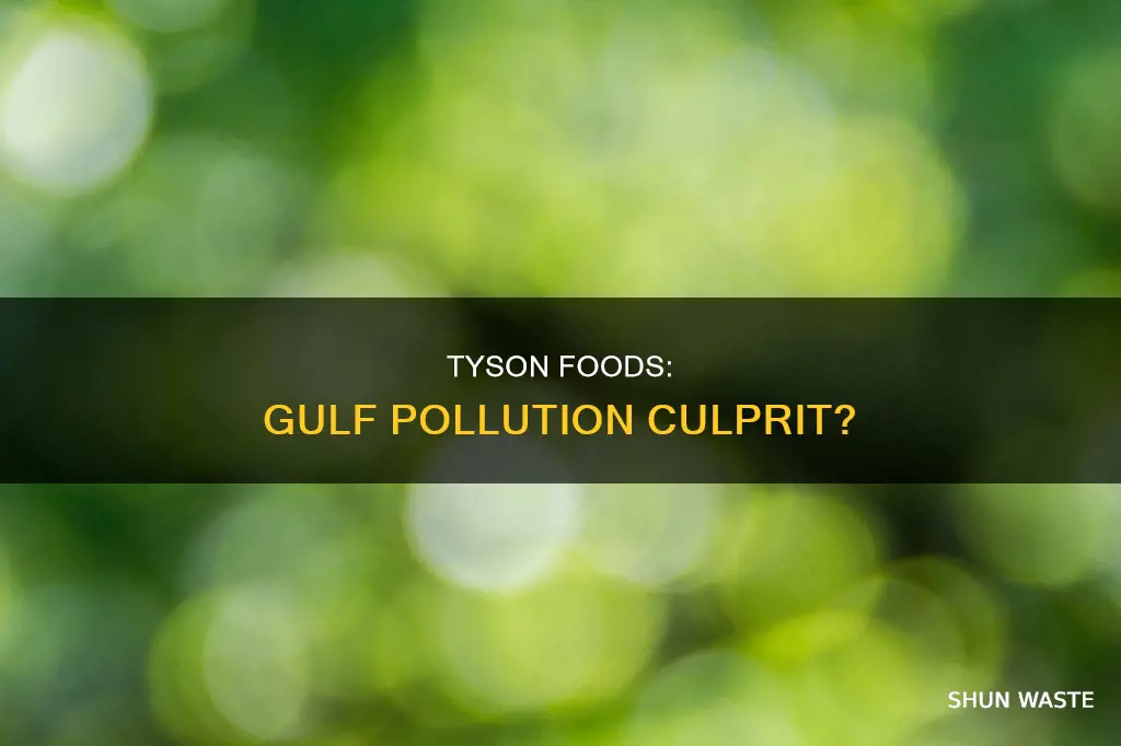 is tyson foods the reason for the gulf pollution