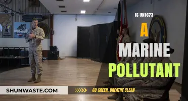 Understanding UN1673: Marine Pollutant or Not?