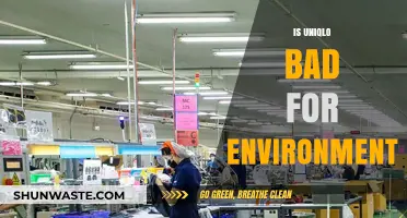 Is Uniqlo Harming Our Planet? An Environmental Impact Analysis