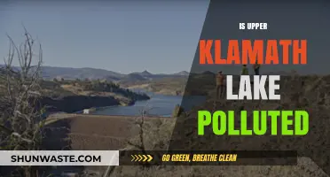 Klamath Lake's Pollution Crisis: A Troubling Reality