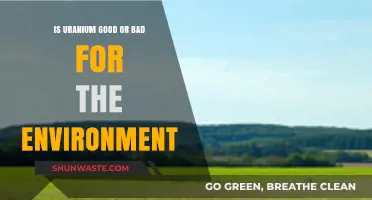 Uranium's Environmental Impact: A Double-Edged Sword for Our Planet?