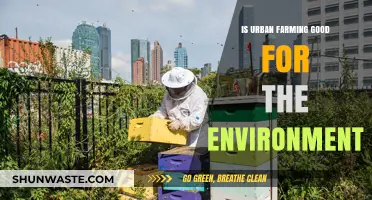 Urban Farming: Eco-Friendly Solution or Environmental Challenge?