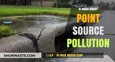 Urban Runoff: Point Source Pollution's Impact