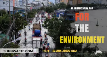 Urbanization's Environmental Impact: Sustainable Solutions or Ecological Disaster?