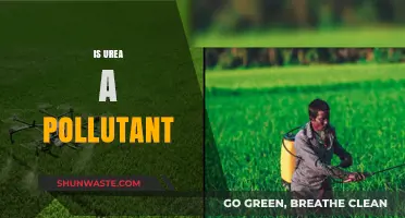 Urea: A Pollutant or Not?