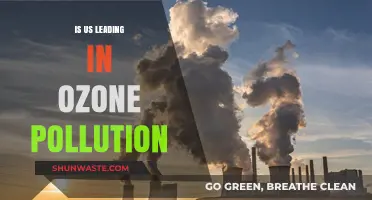 Ozone Pollution: Is the US Leading or Lagging?