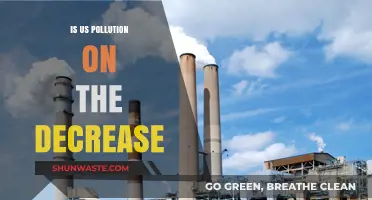 US Pollution: A Declining Trend?