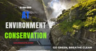 Is the USA Leading or Lagging in Environmental Conservation Efforts?