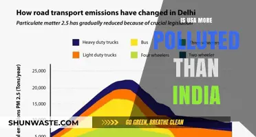 Pollution in USA vs India: Who's the Culprit?