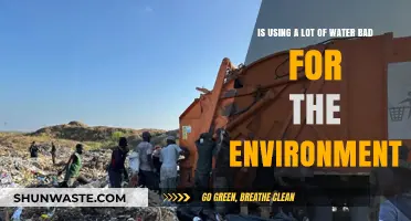 Excessive Water Usage: Environmental Impact and Sustainable Solutions Explored