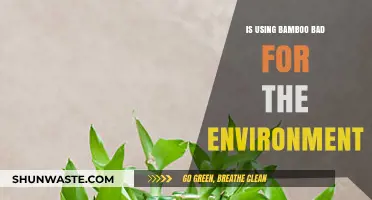 Is Bamboo Eco-Friendly? Uncovering Its Environmental Impact and Sustainability
