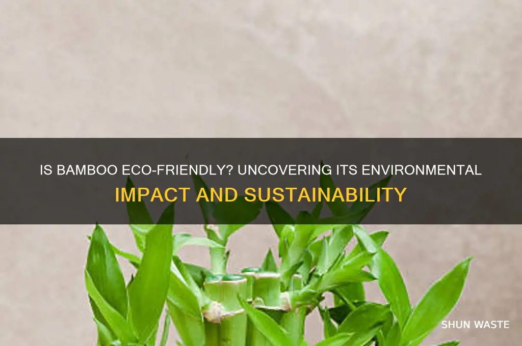 is using bamboo bad for the environment