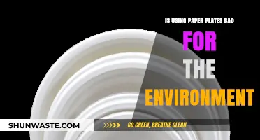 Paper Plates vs. Planet: Uncovering the Environmental Impact of Disposable Dining