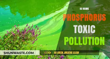 Phosphorus Pollution: Toxic Threat to Our Environment?