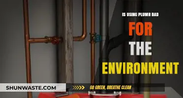 Is Plumr Eco-Friendly? Uncovering Its Environmental Impact and Sustainability