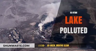 Utah Lake Pollution: What's the Real Story?