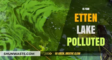 Van Ettan Lake: Is It Polluted?