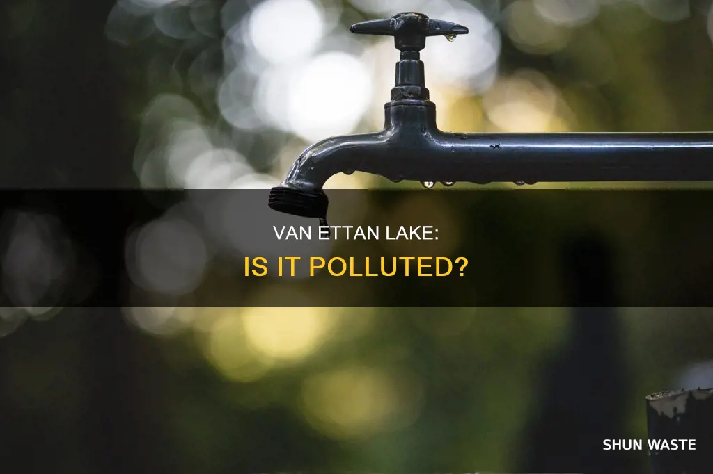 is van etten lake polluted
