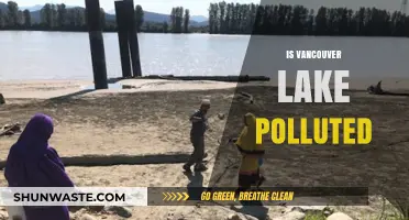 Vancouver Lake: A Polluted Paradise?