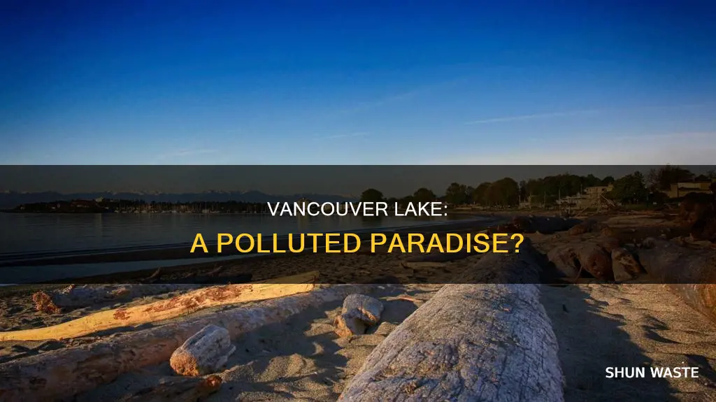 is vancouver lake polluted