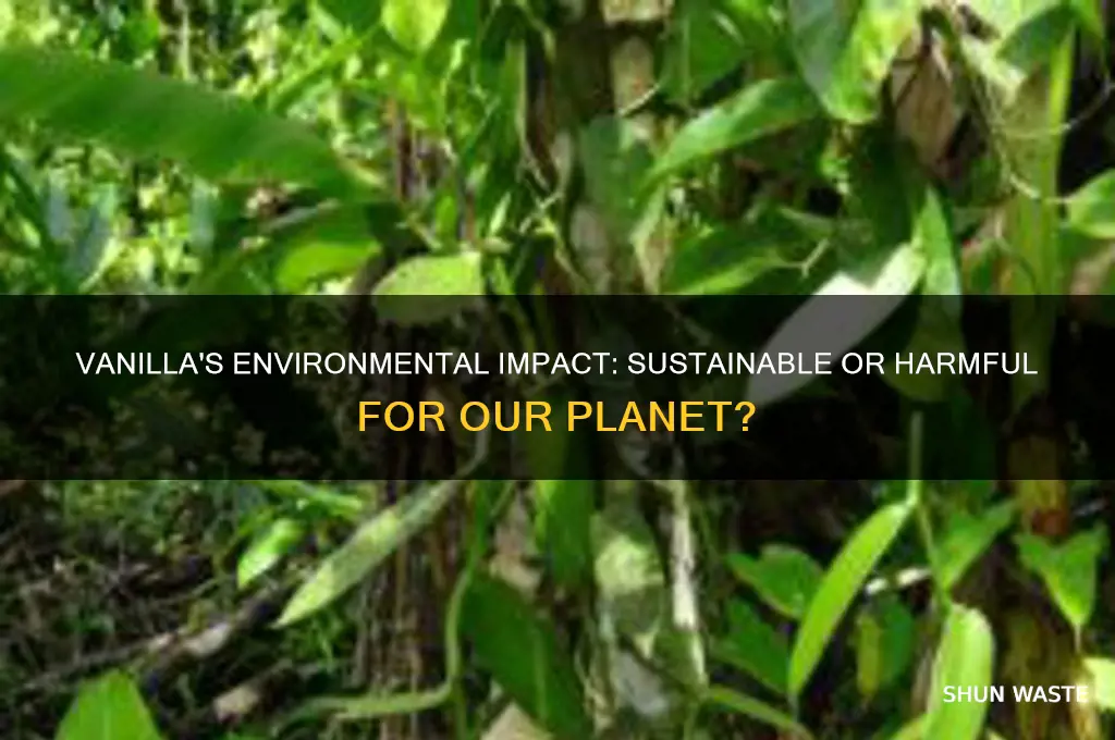 is vanilla bad for the environment