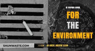 Vaping vs. Environment: Uncovering the Ecological Impact of E-Cigarettes