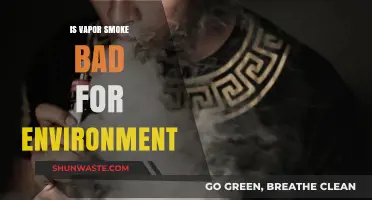 Vaping's Environmental Impact: Uncovering the Hidden Costs of Vapor Smoke
