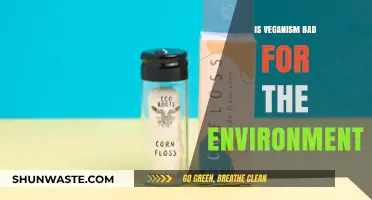 Is Veganism Eco-Friendly? Debunking Myths About Plant-Based Diets