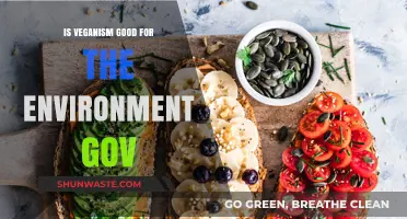 Is Veganism Eco-Friendly? Government Insights on Environmental Impact