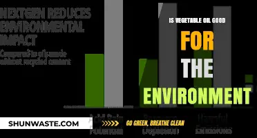 Vegetable Oil's Environmental Impact: Sustainable Choice or Hidden Harm?