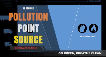 Vehicle Pollution: Point Source or Not?