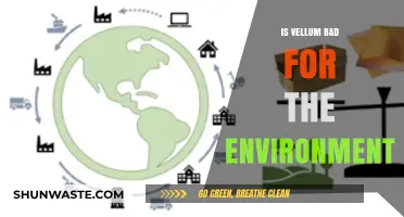 Is Vellum Eco-Friendly? Uncovering Its Environmental Impact and Sustainability