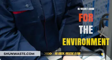 Is Velvet Eco-Friendly? Exploring Its Environmental Impact and Sustainability