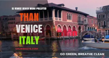 Beach Pollution: Venice vs Venice, Italy