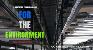 Vertical Farming: Eco-Friendly Solution or Environmental Trade-Off?