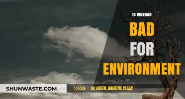 Vinegar's Environmental Impact: Sustainable Choice or Hidden Eco-Hazard?