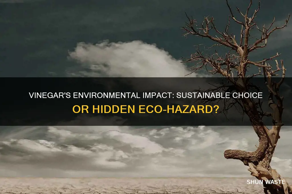 is vinegar bad for environment