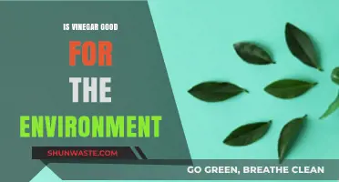 Vinegar's Eco-Friendly Impact: A Sustainable Household Essential Explored