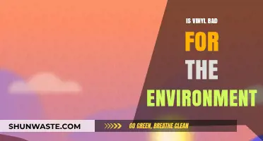 Vinyl's Environmental Impact: Sustainable Choice or Ecological Concern?