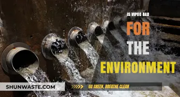 Is Vipoo Eco-Friendly? Uncovering Its Environmental Impact and Sustainability