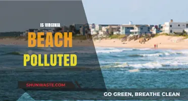 Virginia Beach's Pollution Problem: Is It Getting Worse?