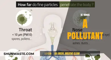Viruses: A New Form of Pollution?