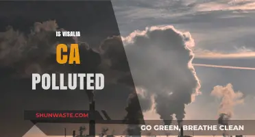 Visalia, CA: A Polluted City?