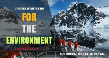 Antarctica Tourism: Environmental Impact and Sustainable Travel Concerns