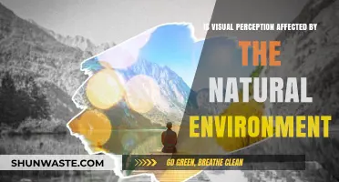 How Nature Shapes Our Vision: Exploring Environmental Impact on Perception