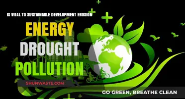 Erosion, Energy, and Pollution: Keys to Sustainable Development