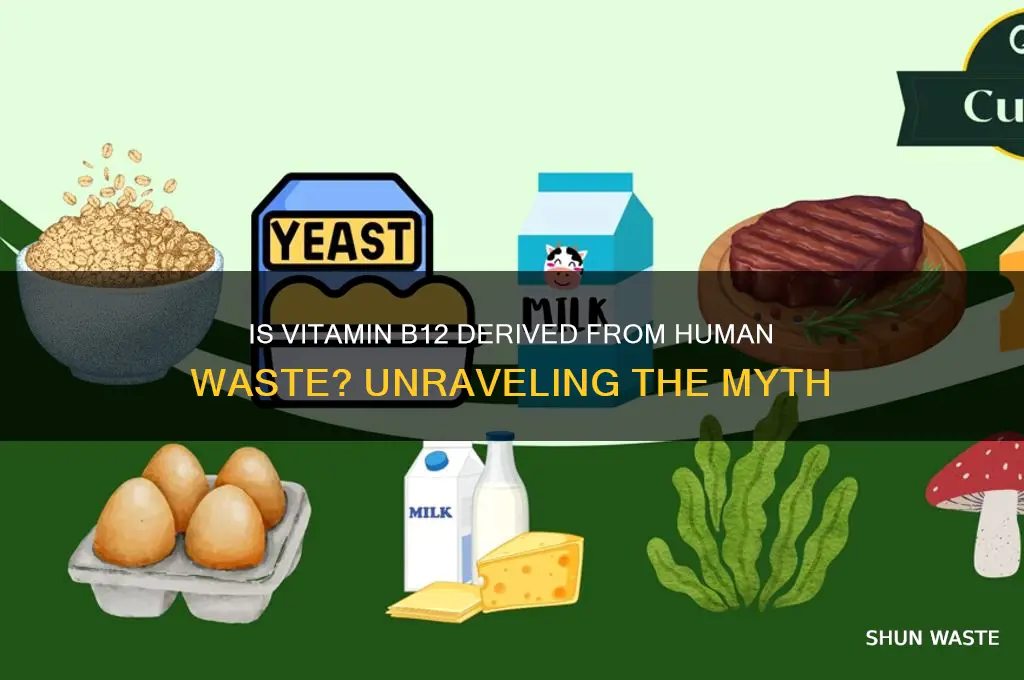 is vitamin b12 made from human waste